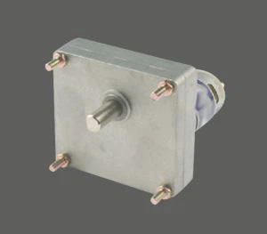 Amusement Equipment Motor