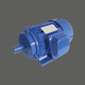 Muaj Tsav Motor