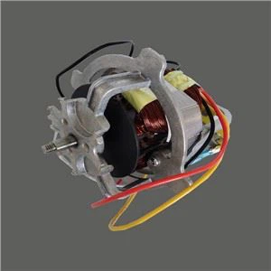 Yooj Yim Thiab Fast Food Processing Motor