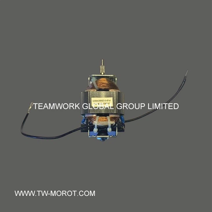 High-Power Hair Dryer Motor