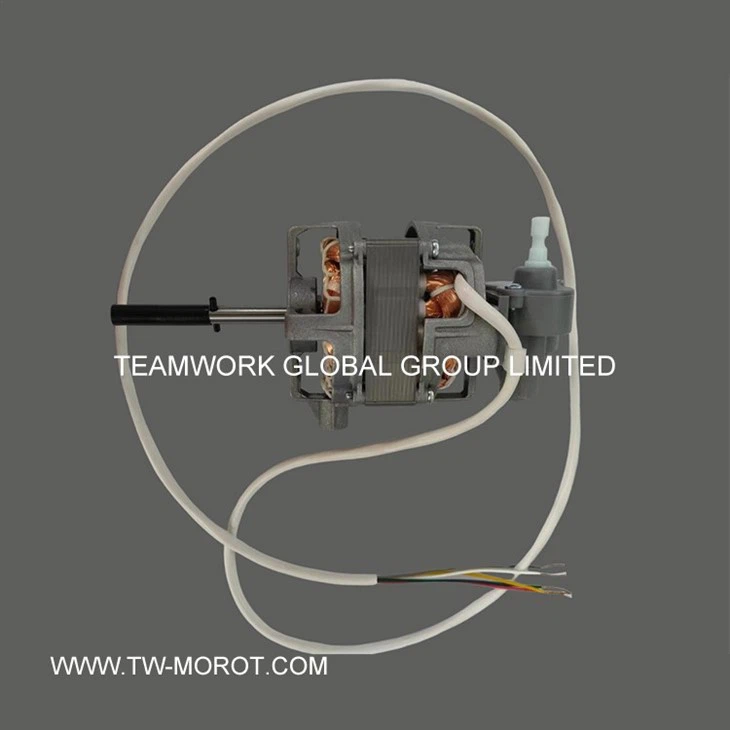 Medium Floor Fan Motor