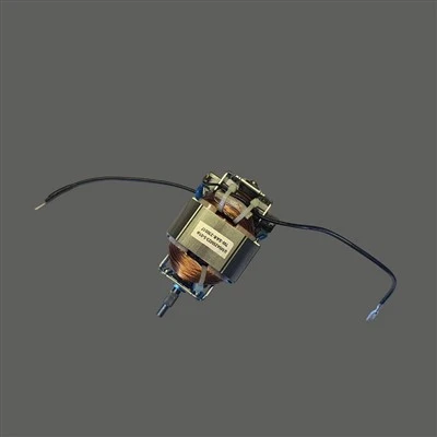 Kua txiv Blender Motor